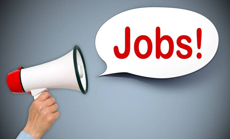 Assam Government Jobs 2021 | Apply Online for 13,198 Vacancies in Assam Careers