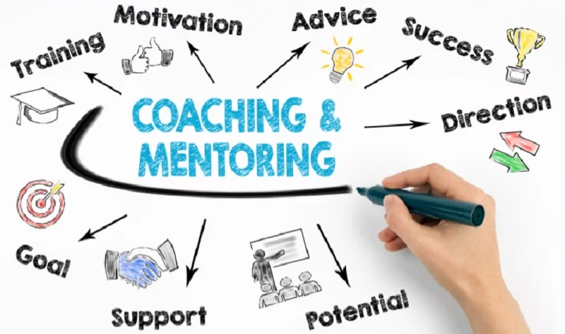 What are Career Coach Services?