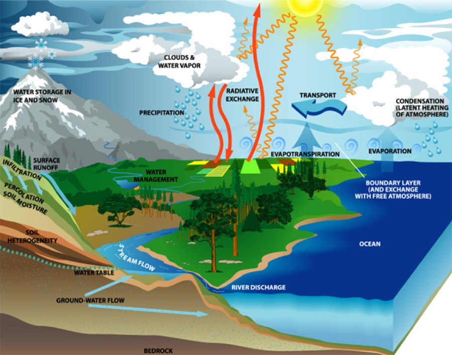 Water Cycle Details You Cannot Forget About